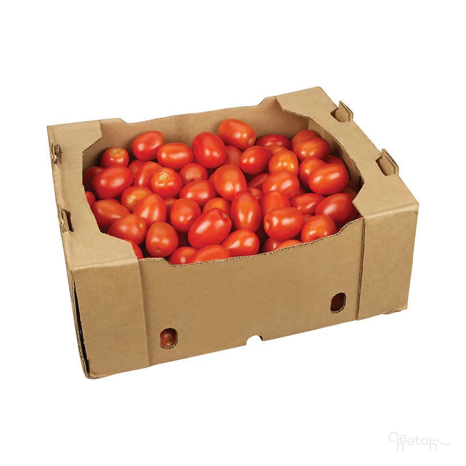 Cheetah by Kimelo | Tomato, Roma, #1, 25 Lb - 101428