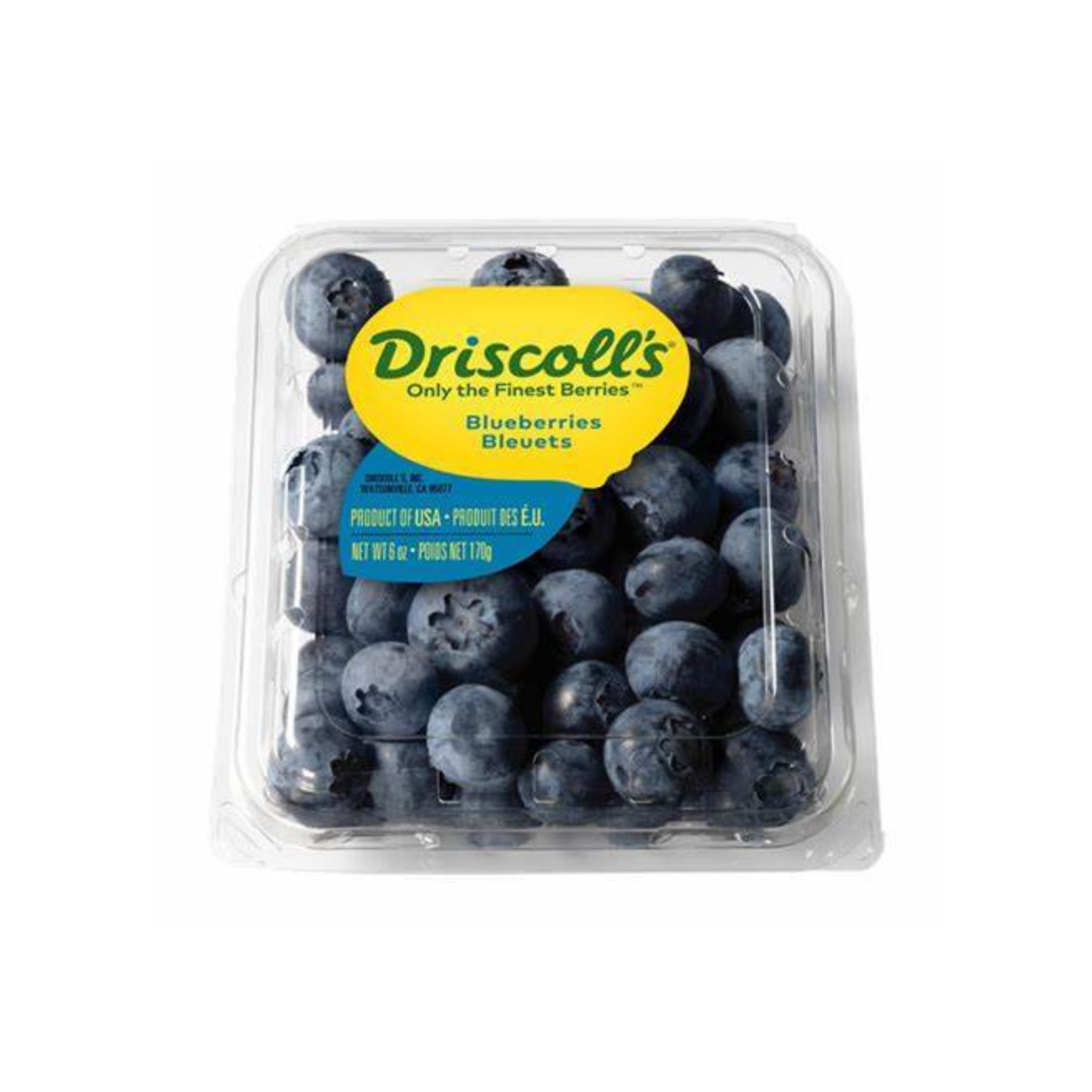 Cheetah by Kimelo | Blueberry, (12) 6 Oz - 108121