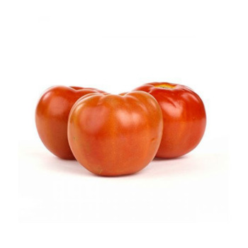 tomatoページ Expert Gardener Tomato & Vegetable Garden Plant Food