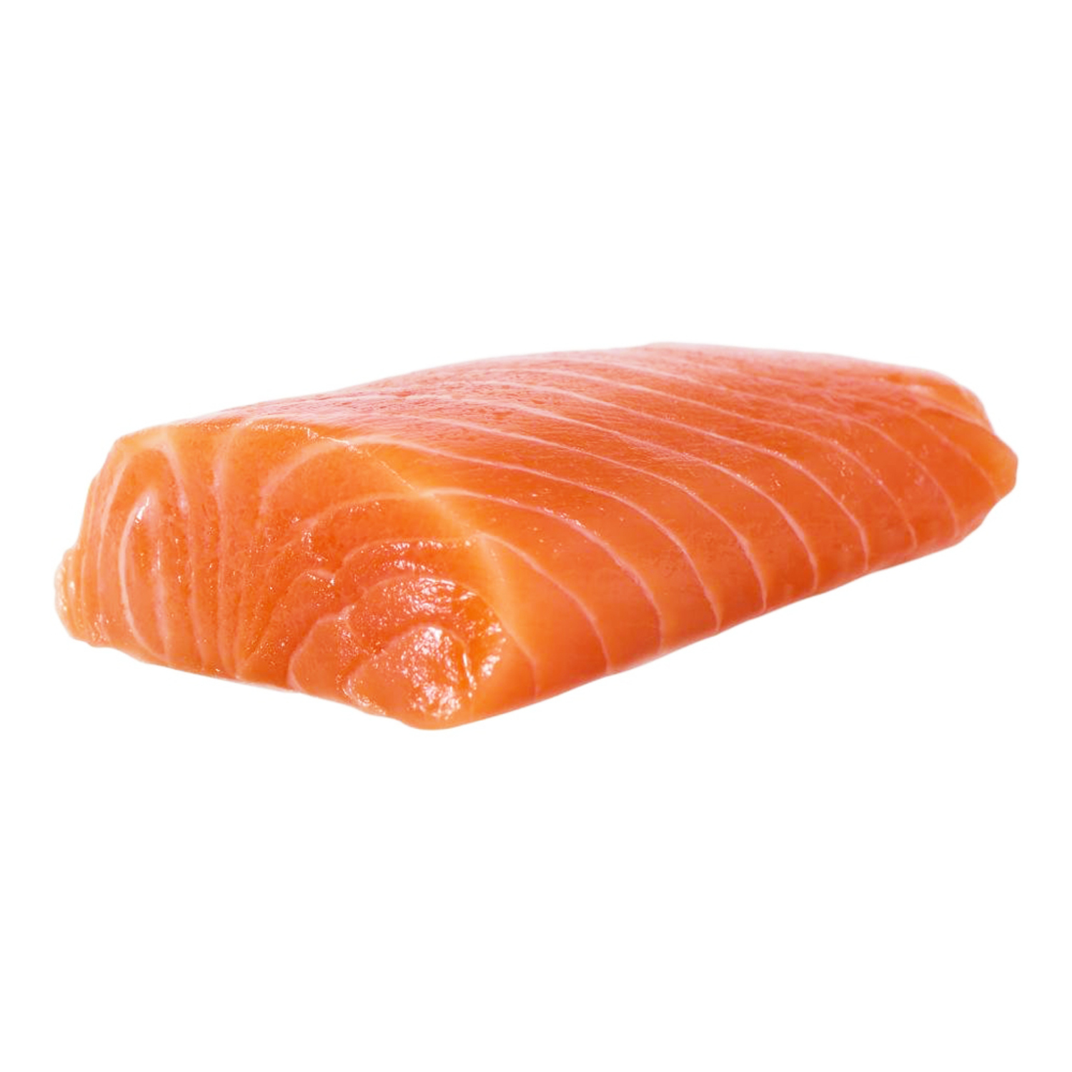 未使用級⭐︎ SALMON FALCON XT CS95 ENERGYZER Cheetah by Kimelo | Salmon Atlantic Portion 6 oz S/off PBO